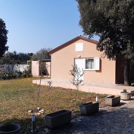Willa LAVE II cozy house Ližnjan Zewnętrze zdjęcie