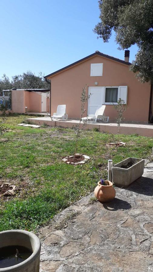 Willa LAVE II cozy house Ližnjan Zewnętrze zdjęcie
